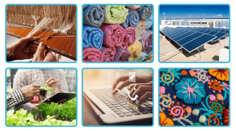 MSME Diversity in Business
